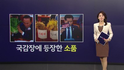 벼부터, 한우, 배추까지...국정감사 단골 손님 '이색 소품' [앵커리포트] / YTN