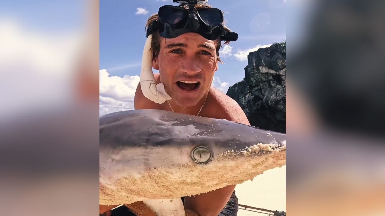 Fischer findet toten Hai mit Magen voller Abfälle und Angelschnur