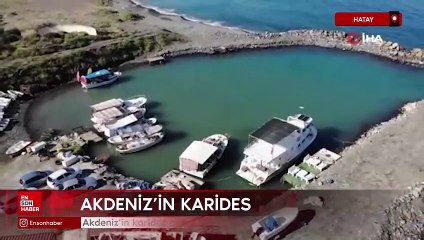 Hatay'da Akdeniz'in karides avcısı ailesi