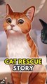 CAT RESCUE STORY ⭐ : Le parfait mélange entre les sims et nintendogs !