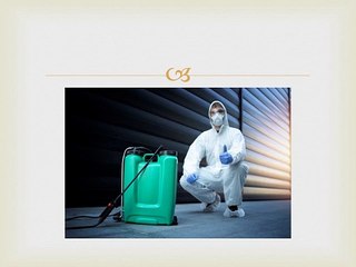 Effective Termite Treatment in Penrith and Glenmore Park