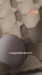 Saviez-vous que les Français mangent de plus en plus d’oeufs? On vous explique ce record historique ! 