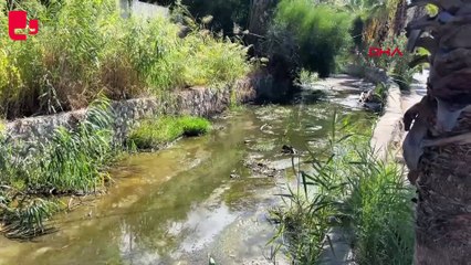 Bodrum'da iki derede kirlilik