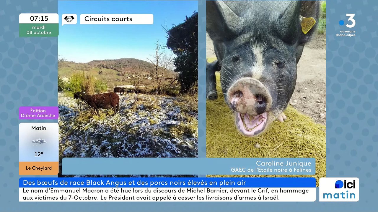 À Félines, Ferme de l'Étoile noire, Black Angus et porcs noirs Bio, des produits fermiers médaillés