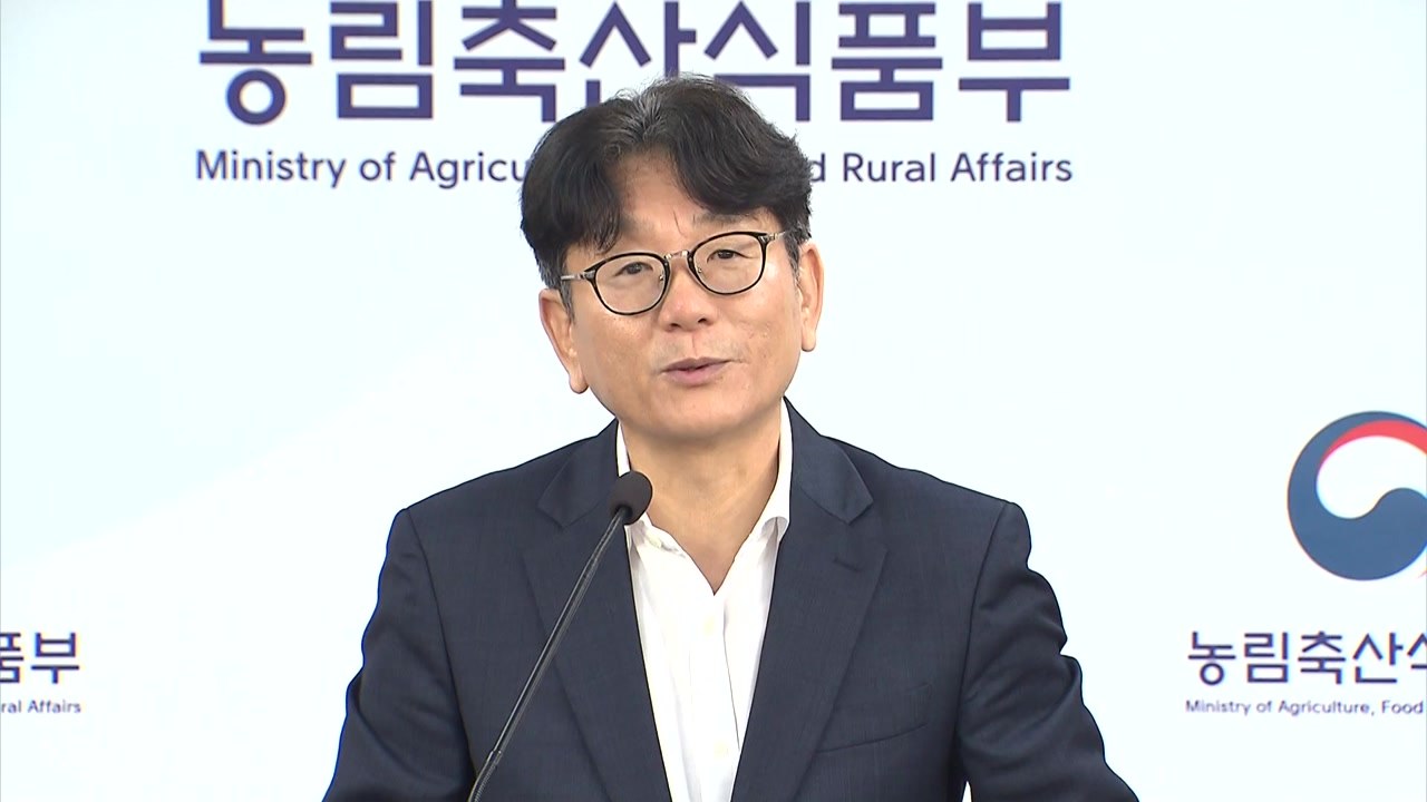 농식품부 "배추 출하지역 확대...수급 안정 전망" / YTN