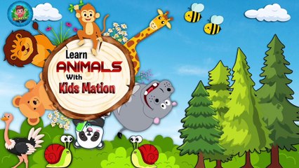 Animal Names |learn animals |animal names for kids