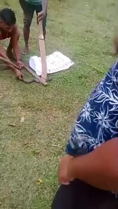 VID-20241008-WA0004