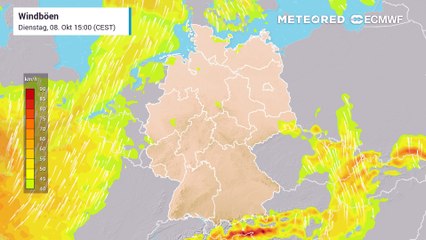 Sturm ja, aber kein Unwetter-Drama: Ex-Hurikan Kirk zieht über Süddeutschland hinweg