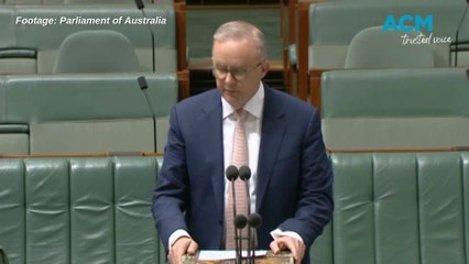 'Unkind and hurtful': Prime Minister Anthony Albanese apologises for 'Tourette's' comment