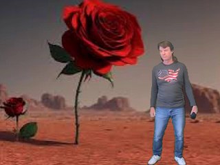 Une rose dans le désert frederic francois