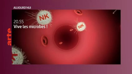 Le rôle de Pie XII face à la Shoah : 8 octobre en perspective ✝️