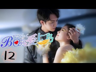 Boss and the Bird EP12 | BOSS爱上鸟