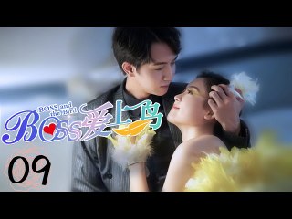 Boss and the Bird EP09 | BOSS爱上鸟