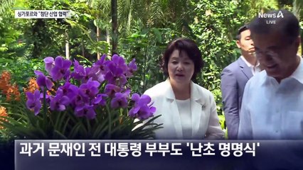 AI·디지털 등 첨단 산업 협력 확대…한·싱가포르 정상회담