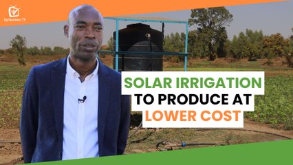 Burkina Faso: Solar irrigation to produce at lower cost