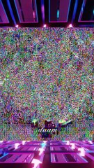 "Discovering Peace: A Journey Through Islam