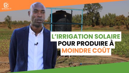 Burkina Faso : L’irrigation solaire pour produire à moindre coût