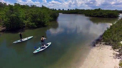 Kayaking Adventure in Big Hickory Pass: Justin and Michael's Scenic Journey with Dolphin and Pelican Cameo