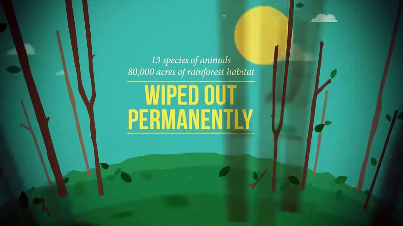 Promotional Explainer Video for Care To Click by Whimsitoons | Infographic | Typography