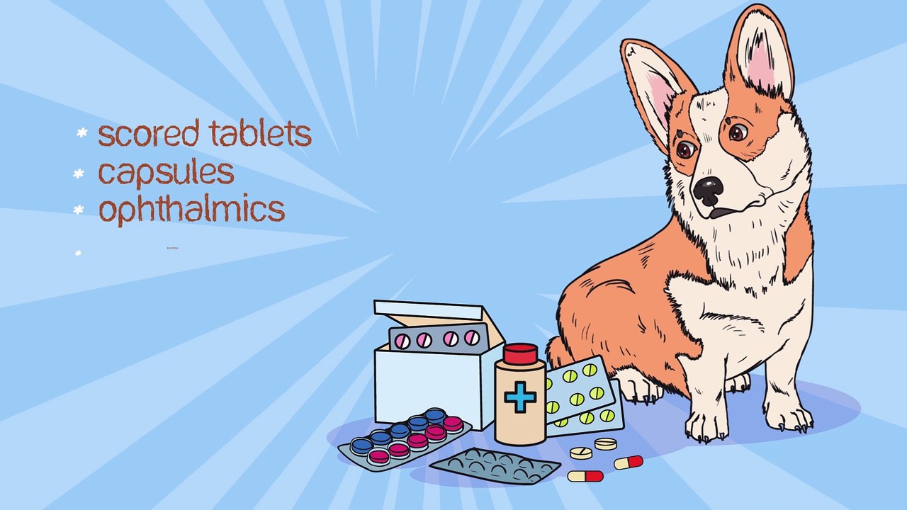 Promotional Explainer Video for Petscript by Whimsitoons | 2D Animation | Motion Graphic