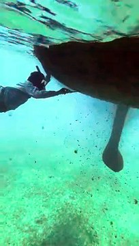 Person is scraping barnacles and other marine growth off the bottom of their boat!