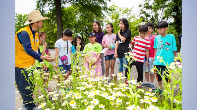 [서울] 서울시, 내년 5월 세계 첫 '어린이정원 축제' 개최 / YTN