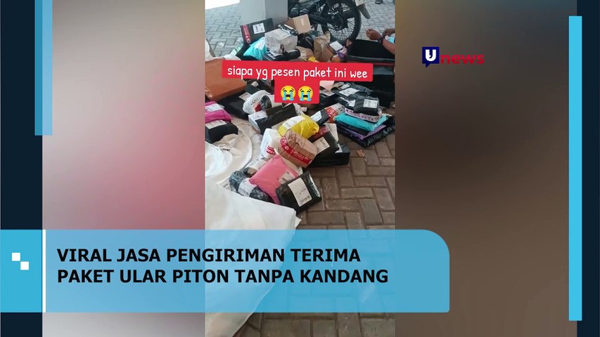 VIRAL !! Jasa Pengiriman Terima Paket Ular Tanpa Kandang