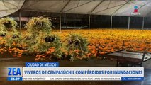 Viveros sufren las consecuencias de las lluvias e inundaciones en Xochimilco