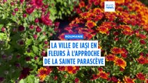 La ville roumaine de Iași en fleurs à l'approche de la sainte Parascève