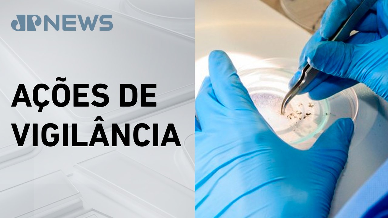 Ministério da Saúde investiu mais de R$ 2,5 bilhões no combate a dengue