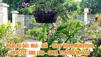 Đất Dầu Tiếng | Bán gấp nhà mới xây to đùn bị ngộp Giá rẽ #585