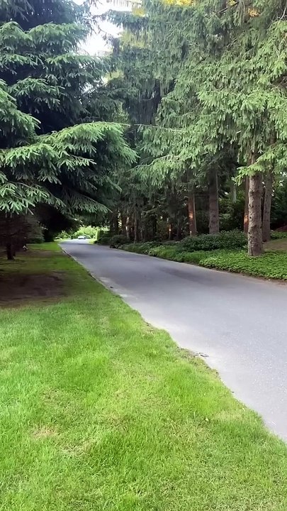 Lamborghini Aventador SVJ #supercar #car