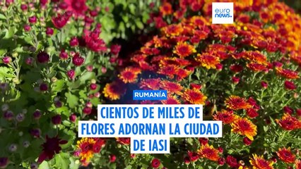 Miles de flores adornan la ciudad rumana de Iași por la festividad de Santa Paraskeva