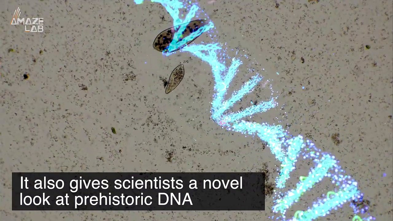 2BillionYearOld Microbes Discovered Living Within Rock video