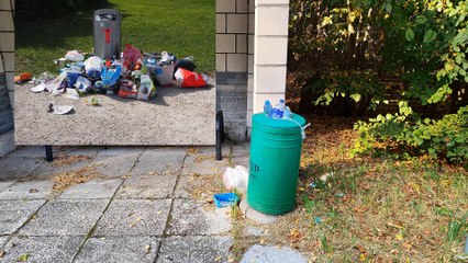 Aplikacja Odpado - Michał Szafrański