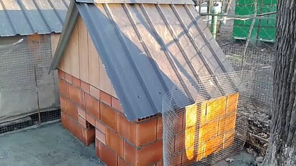 HOME MAKING FOR RABBITS