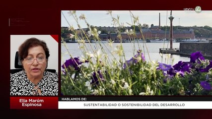 Sustentabilidad o Sostenibilidad del Desarrollo: Elia Marúm