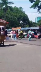 Ternyata Musuh Terberat Super Hero itu adalah Satpol PP