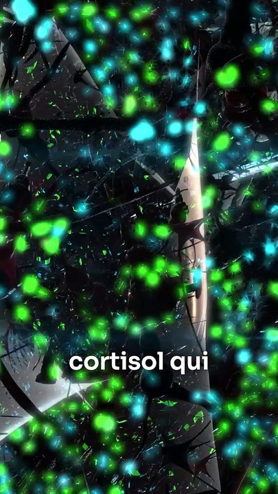 Commencer à guérir de la DP/DR ‍️