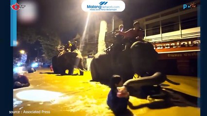 Momen Gajah Turut Berikan Bantuan Kepada Warga Terdampak Banjir di Thailand Utara