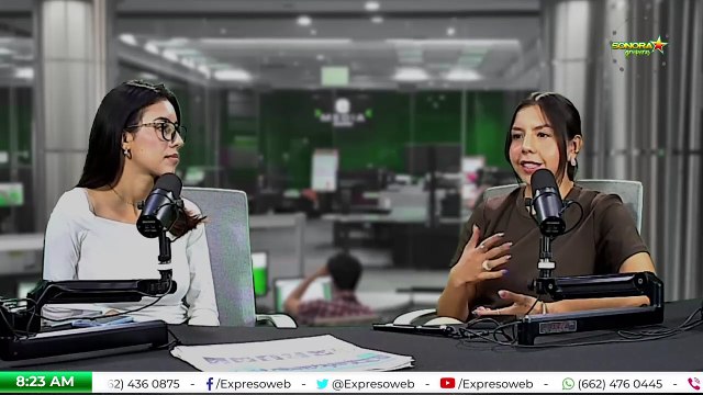 ¿Cuál es la importancia de los insectos en casa?