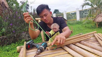 Emotional monkey Bon always loves his dad and never leaves him