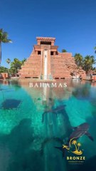 TRAVEL ESCAPES- BAHAMAS