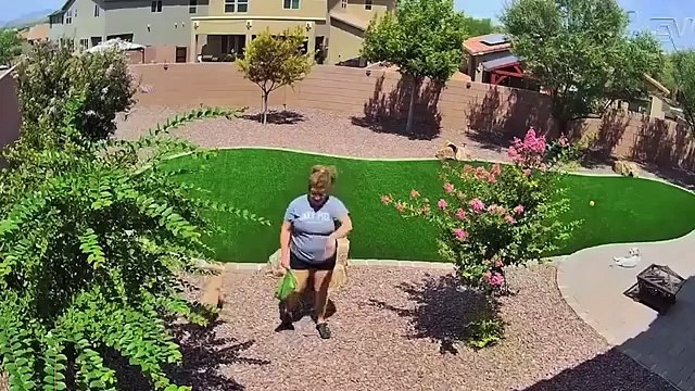 Caught in 4K Funniest Security Camera Fails