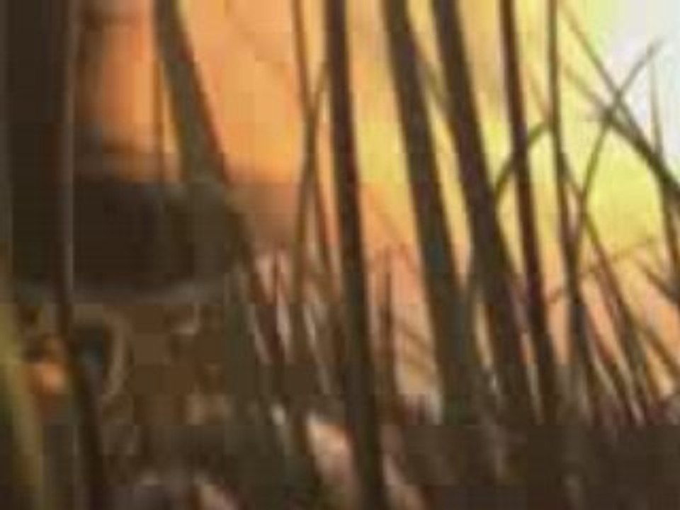 warcraft 3 le trailer