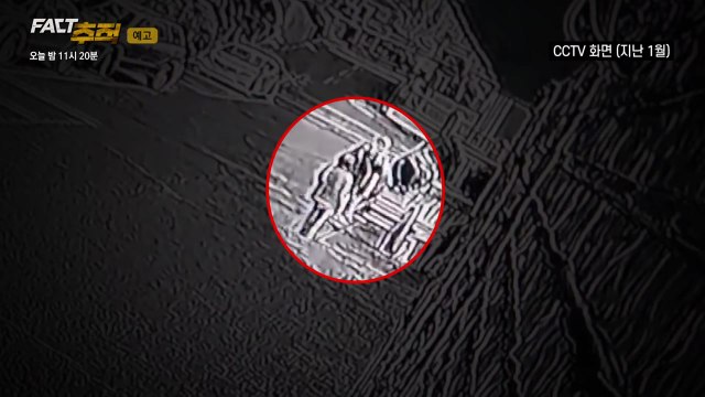 '범죄 표적' 된 노인... 황혼이 위태롭다 [오늘 밤 팩트추적] / YTN