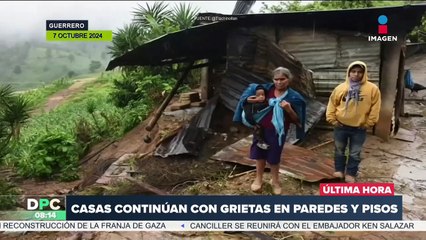Capturan a cinco cocodrilos en Acapulco, Guerrero