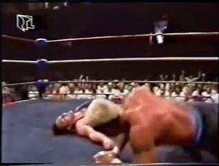 WCW Catch Up (RTLplus)  1989-07-23
