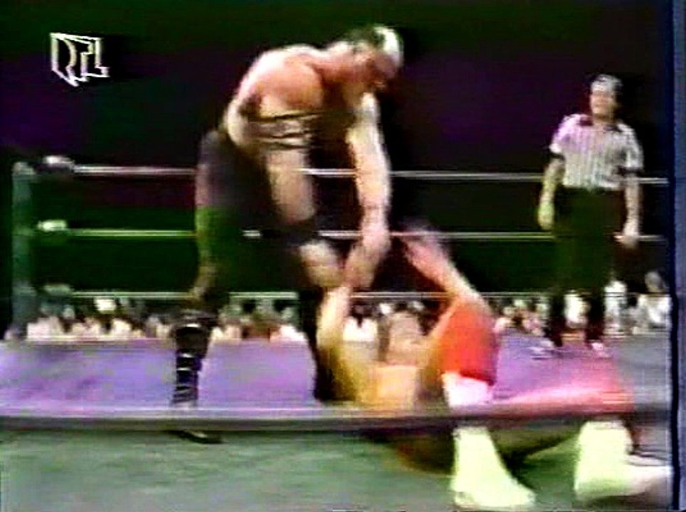 WCW Catch Up (RTLplus)  1989-07-30