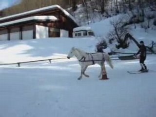 Ski-joëring en liberté